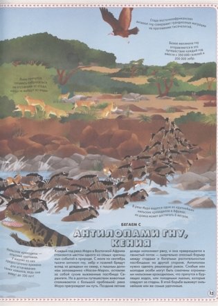 Большой атлас животных в картинках фото книги 5