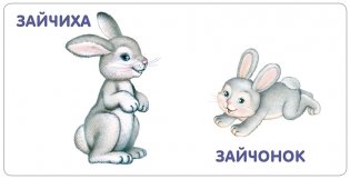 Книжки - картонки. Животные и детёныши фото книги 4