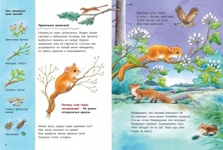 Кто такая орешниковая соня? Познавательные истории фото книги 3
