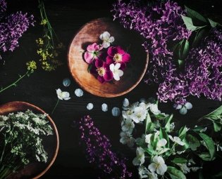 Искусство десерта и фотографии фото книги 9