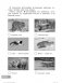 Окружающий мир. Изучаем природу родного края. 2 класс. Тетрадь для внеурочной деятельности. ФГОС фото книги маленькое 6