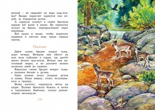 Беспокойный хвостик фото книги 6
