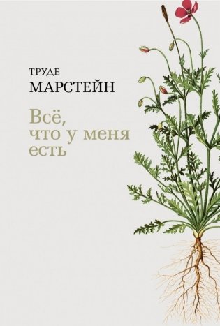 Все, что у меня есть фото книги
