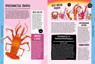 Мир вокруг тебя. Тайны мирового океана фото книги 9