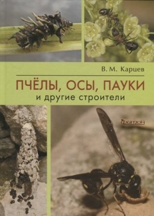 Пчелы, осы, пауки и другие строители фото книги