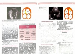 ЭхоКГ понятным языком фото книги 2