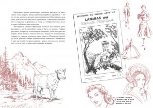 История кота, изменившего одну жизнь. Признание в любви фото книги 6