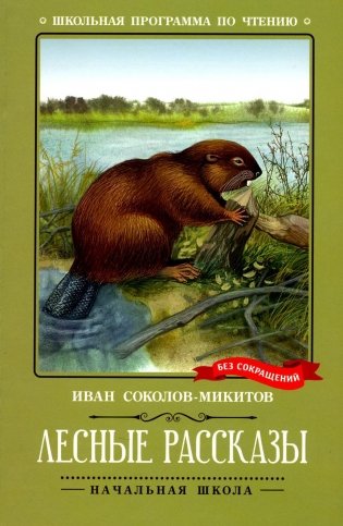 Лесные рассказы фото книги