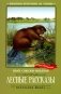 Лесные рассказы фото книги маленькое 2