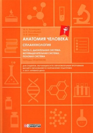 Анатомия человека. Спланхнология. Часть 5. Дыхательная система. Мочевыделительная система. Половая система. Тетрадь-практикум фото книги