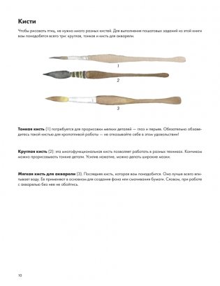 Рисуем акварелью: птицы леса и сада фото книги 7