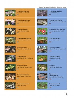 Большая энциклопедия. Грибы. Съедобные и несъедобные. Собираем и готовим. фото книги 16