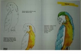 Скетчбук. Экспресс-курс по рисованию фото книги 3