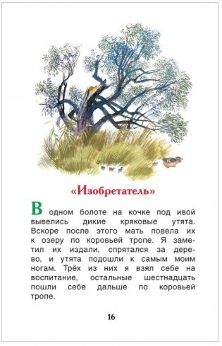 Рассказы о природе фото книги 4