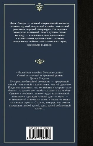 Маленькая хозяйка Большого дома фото книги 2