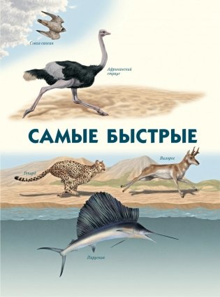Самые-самые. Животные рекордсмены фото книги 6