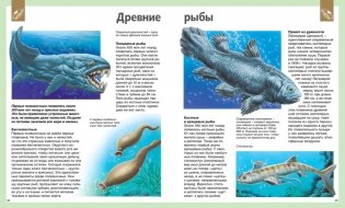 Универсальная школьная энциклопедия фото книги 3
