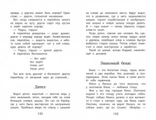 Кладовая солнца фото книги 4