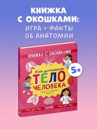 Книжка с окошками. Как устроено тело человека. И другие интересные вопросы фото книги 9