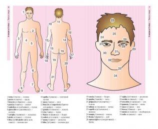 Итальянский язык в картинках фото книги 5