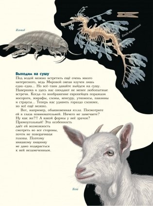 Самые-самые. Животные рекордсмены фото книги 9