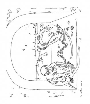 Животные в шедеврах живописи фото книги 6