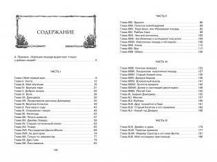 Чёрный Красавчик фото книги 8