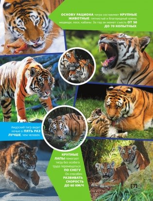Большая энциклопедия о животных. 500 фотографий и фактов фото книги 6