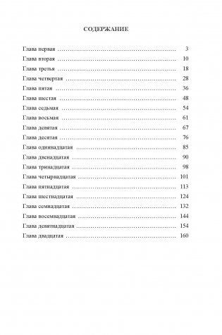 Вечный огонь фото книги 7