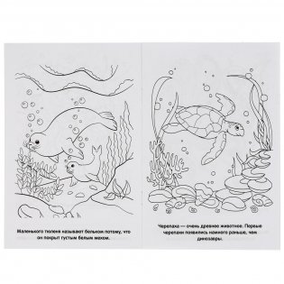 Обитатели морей фото книги 4