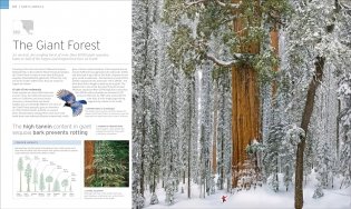 Natural Wonders of the World фото книги 4