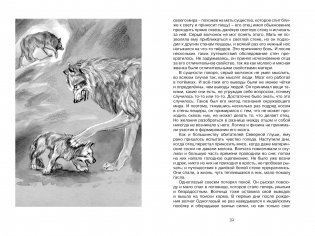 Белый клык фото книги 4