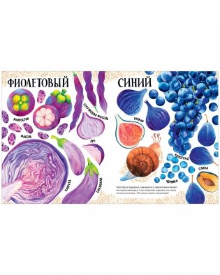 Приключения улитки Элли в мире фруктов и овощей фото книги 8