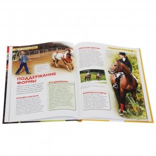 Лошади и пони фото книги 2