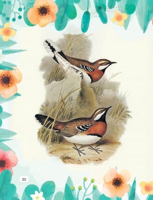 У лясах Белавежы фото книги 5