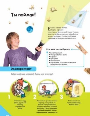 Опыты и эксперименты на каждый день фото книги 11