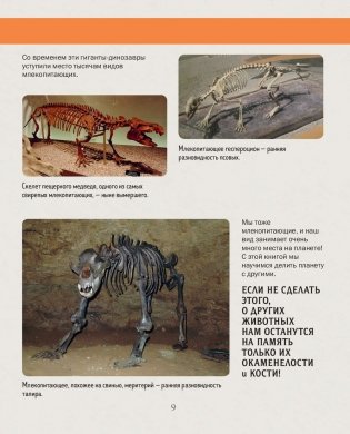 История жизни на Земле. От бактерии до человека фото книги 9