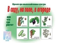 Игра-лото "В саду, на поле, в огороде" фото книги