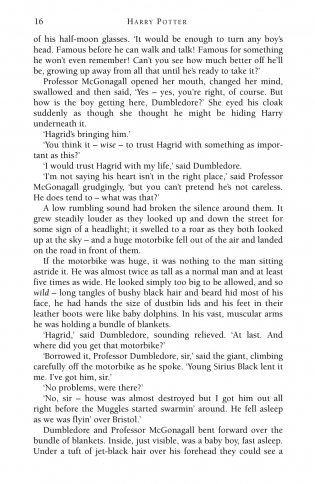 Harry Potter 1 and the Philosopher's Stone фото книги 11