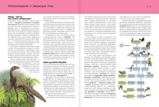 Птицы. Полная энциклопедия фото книги 6