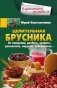 Целительная брусника фото книги маленькое 2