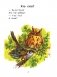 Чытаем пасля буквара. Пра дзіцятак і зверанятак. Крок 1 фото книги маленькое 3