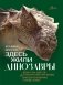 Здесь жили динозавры фото книги маленькое 2
