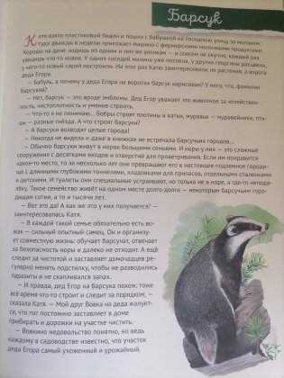 Кто где живёт? Звери и птицы леса фото книги 6