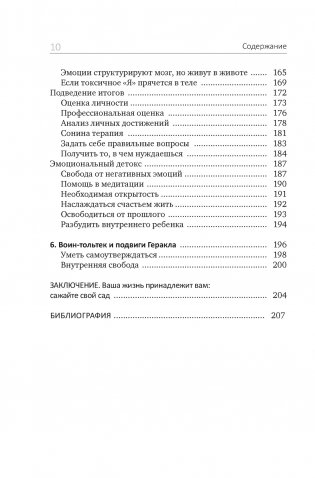 Детокс внутреннего «Я». Как избавиться от самотоксичности и стать свободным фото книги 5