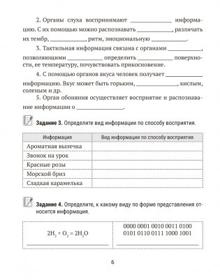 Информатика. Рабочая тетрадь для 7 класса фото книги 5