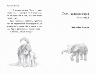 Чудеса в полярную ночь фото книги 5