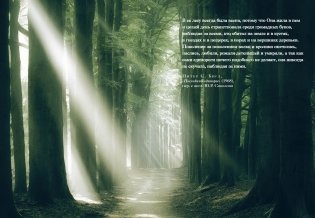 Книга Единорогов. Волшебный путеводитель по страницам фолиантов, глубинам тайных знаний и вершинам изящных искусств фото книги 6