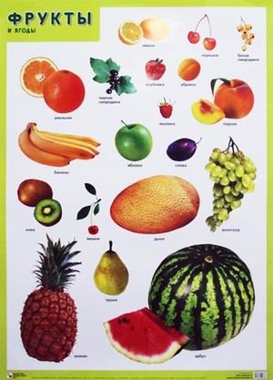 Фрукты и ягоды. Плакат фото книги