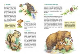 Природа России. Иллюстрированная энциклопедия фото книги 6
